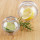 Relaxdays Zwiebeldose transparent 2er Set Transparent