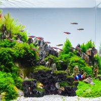 Relaxdays Aquarium Deko Stein Grün/Schwarz