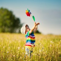 Relaxdays 2er Set Windrad Blau/Grün/Rot