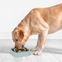 Relaxdays Anti Schling Napf 800 ml Hellblau