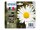 C13T18164012 EPSON XP Tinte (4) cmyk HC