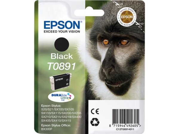 Epson T0891 schwarz (C13T08914010)