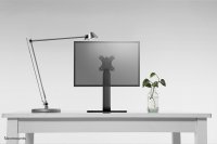 NewStar Flat Screen Desk Mount (stand)