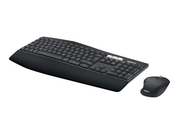 920-008221 LOGITECH MK850 Tastatur+Maus
